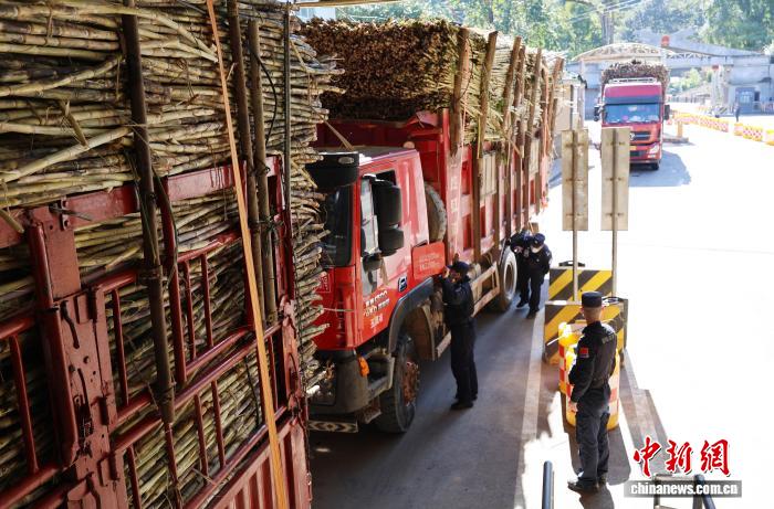 97d86ef7-e737-47b7-90f2-22cc30564f11_zsite.jpg